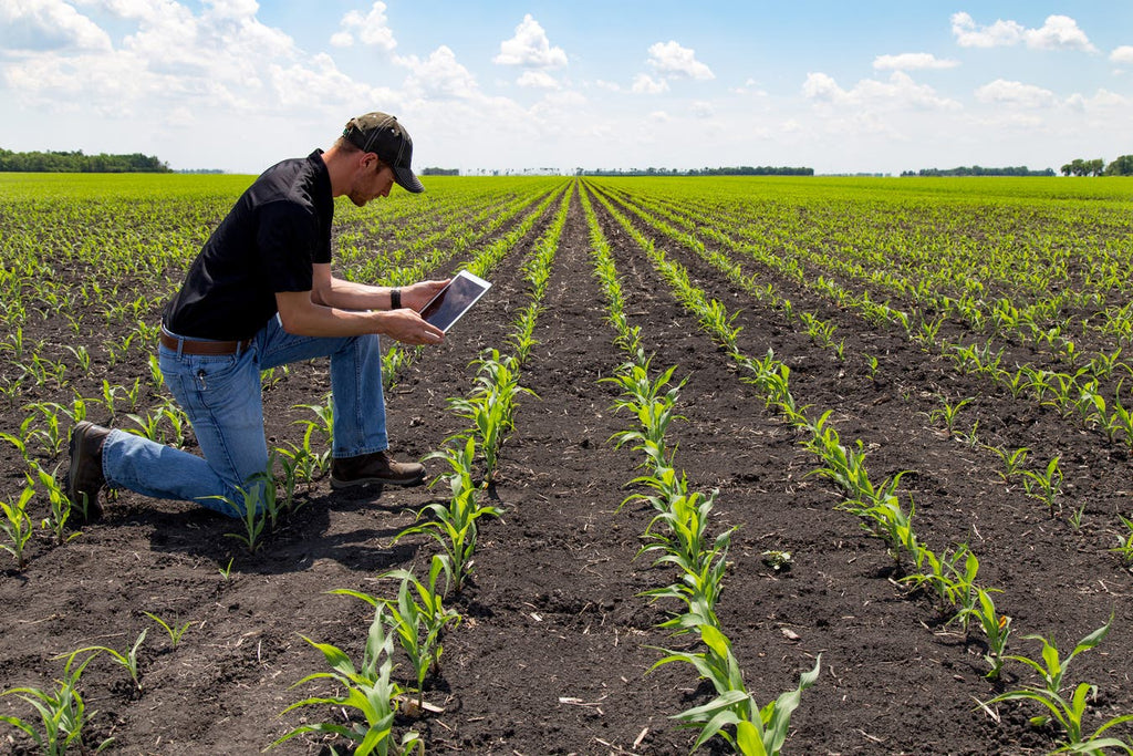 Donde hay innovación, hay esperanza: Agritech para pequeños agricultores de América Latina